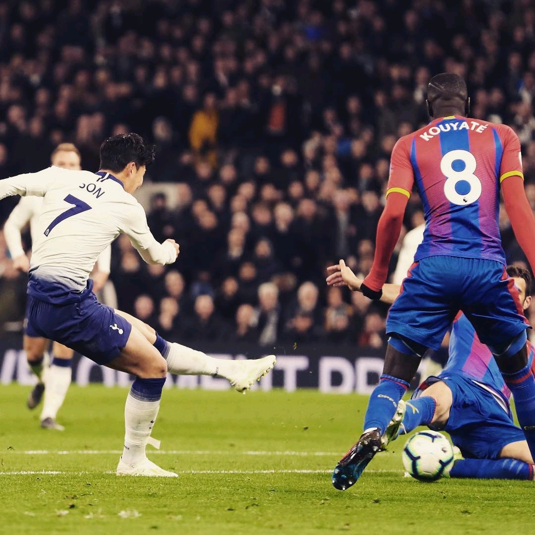 的内容更具 的内容更具